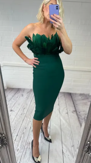 Alexi Bodycon Dress 609798