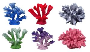 Aquamate - Corals (Small)