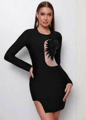 Contrast Mesh Appliques Detail Bodycon Dress