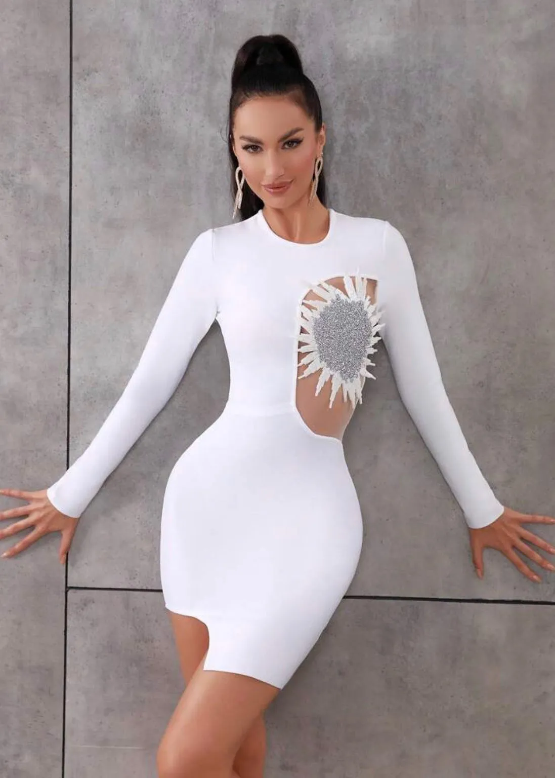Contrast Mesh Appliques Detail Bodycon Dress