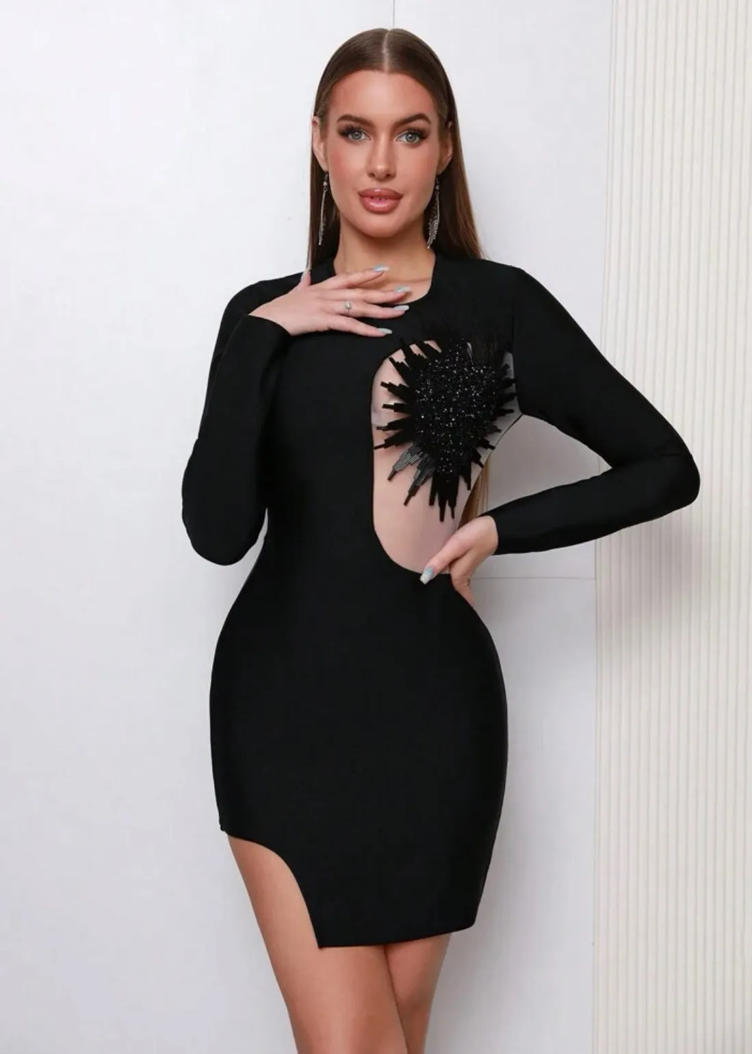 Contrast Mesh Appliques Detail Bodycon Dress