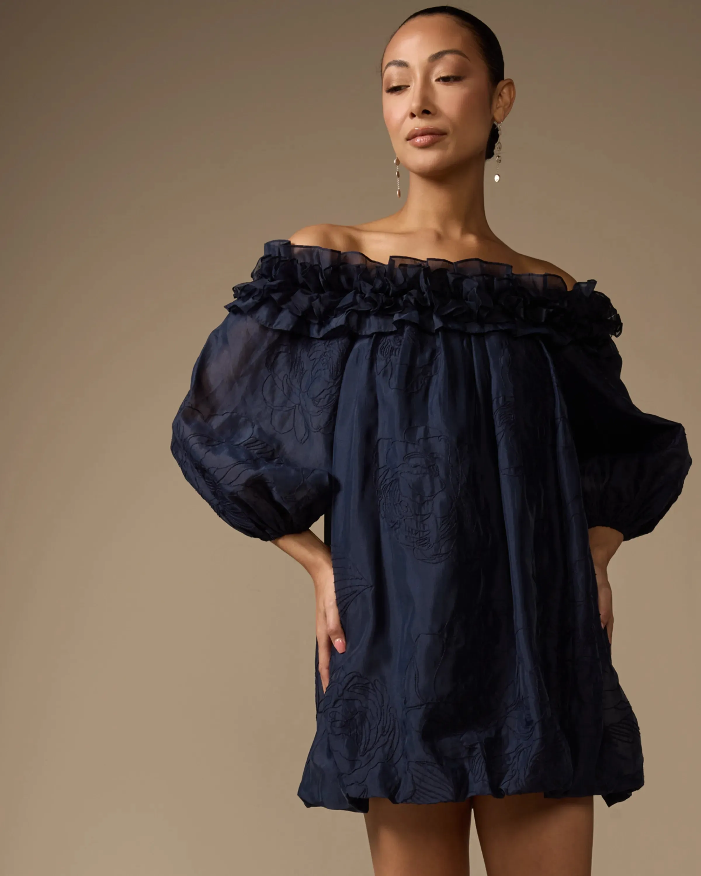 Nava Embroidered Organza Mini Dress | Navy