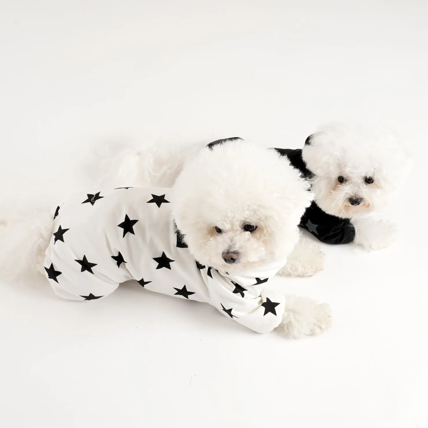 [PA-OR131] PUPPYANGEL Star Single Coverall (For Unisex) ( S ~ XL )