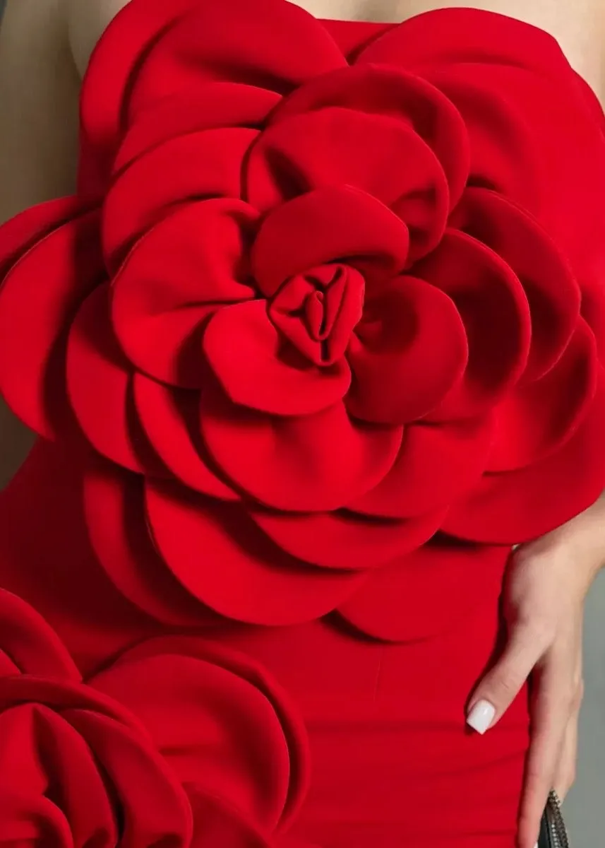 Shea Big 3D Flowers Decor Tube Mini Dress