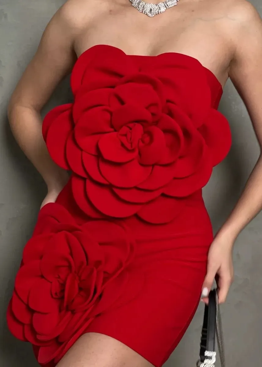 Shea Big 3D Flowers Decor Tube Mini Dress
