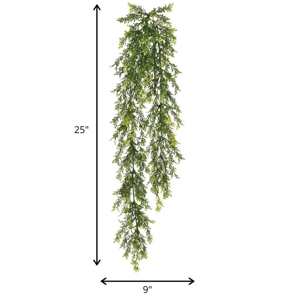 Tealeaf Berry Vine