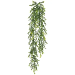 Tealeaf Berry Vine